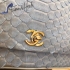 Chanel Bag 196 snake